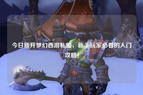 今日新开梦幻西游私服，新手玩家必看的入门攻略！